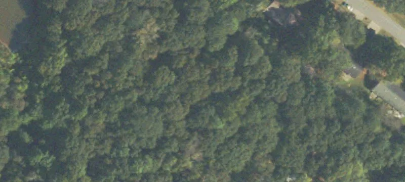 210 Freeman Dr