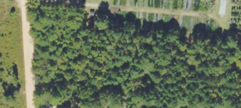 22255 Ga Hwy 46