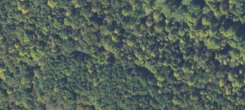 2648 Hickory Flat Hwy
