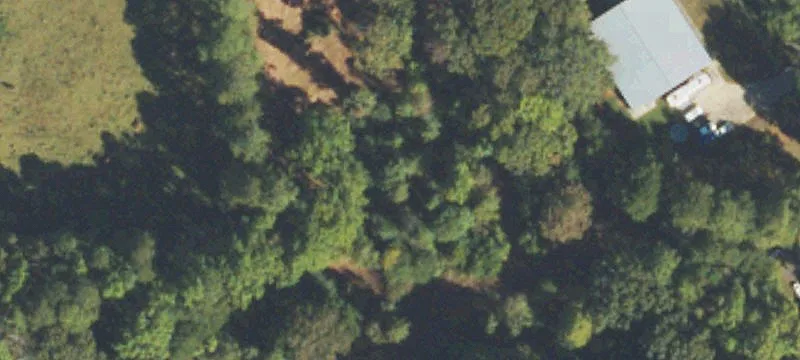 597 Mcclure Dr