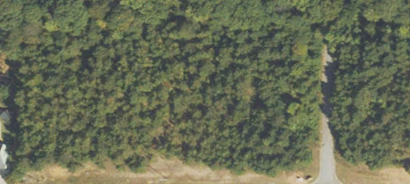 151 Perennial Dr