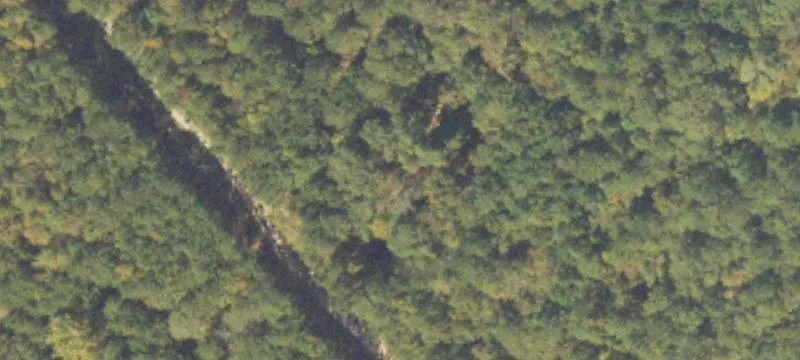 Wallace Rd