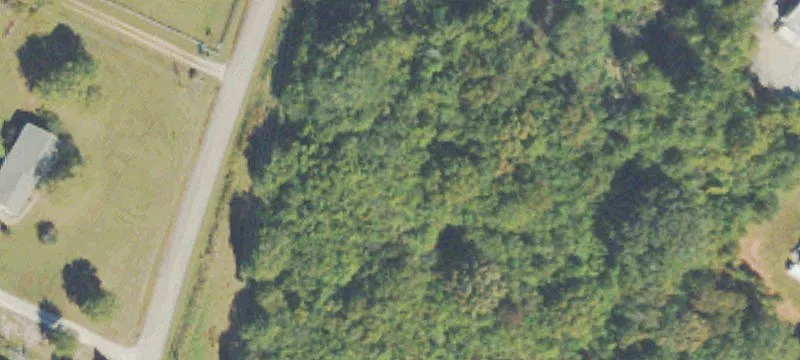 2425 Hwy 278