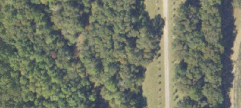 Meigs, GA 31765