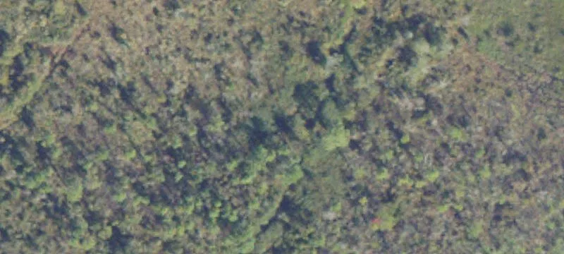 Nashville, GA 31639