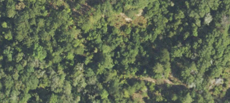 Buena Vista, GA 31803