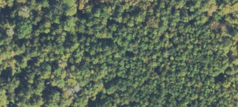 Veribest Rd