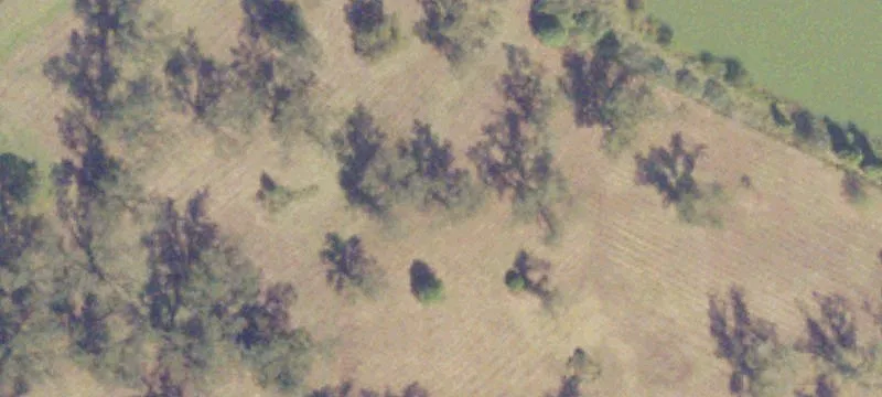 2330 Ga Hwy 127