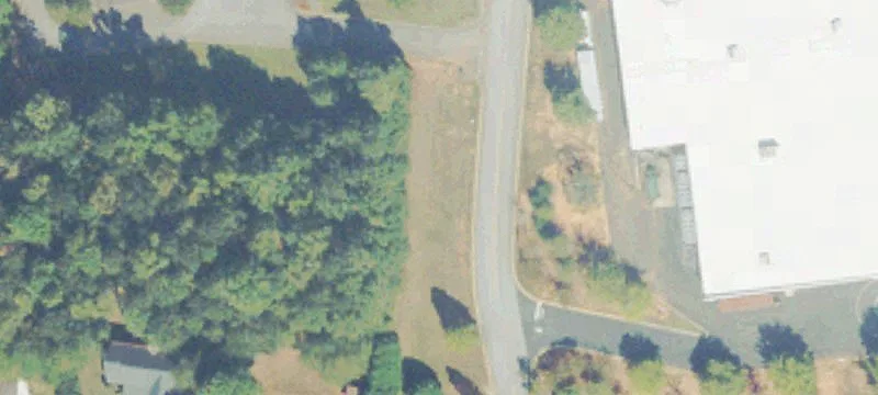 Loggins Dr
