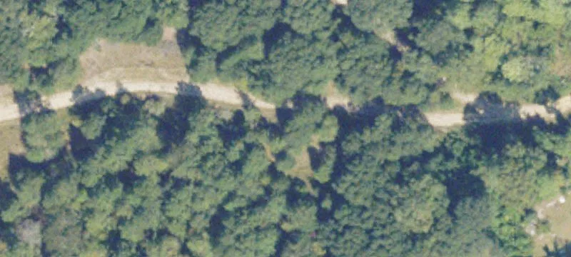 Emily Dr