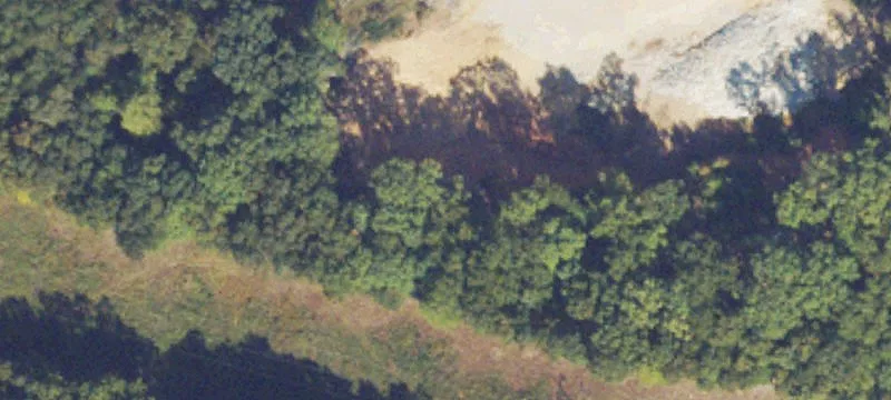51 Rice Rd