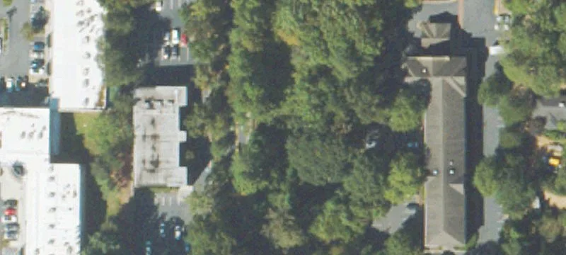 335 Hammond Dr