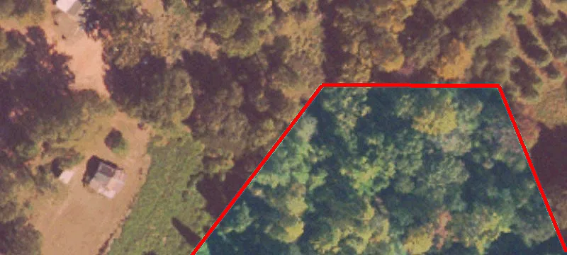7945 Highway 81