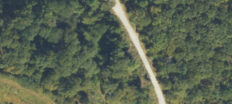 7212 Scales Rd