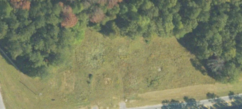 Poplar Rd