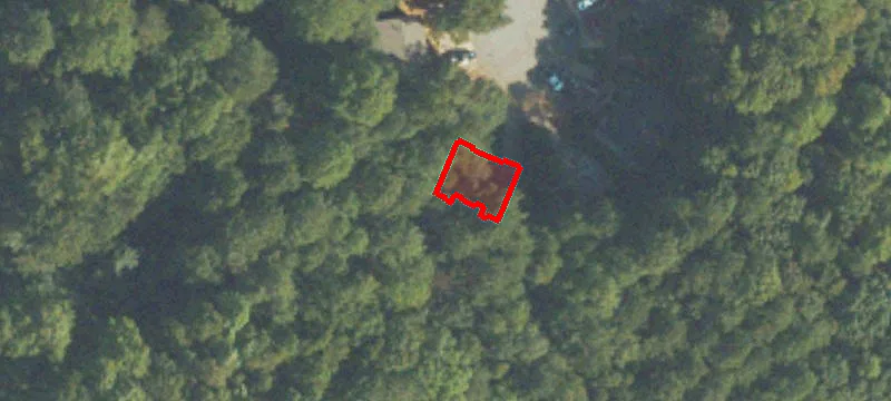 606 Little Bear Dr