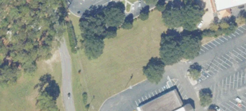 Pinetree Blvd