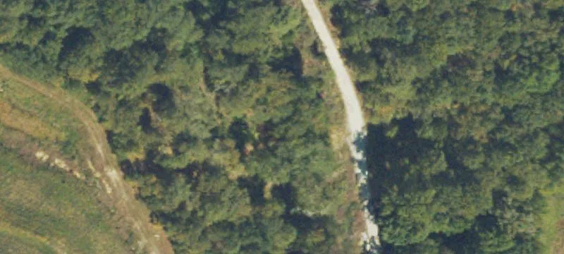 7300 Scales Rd
