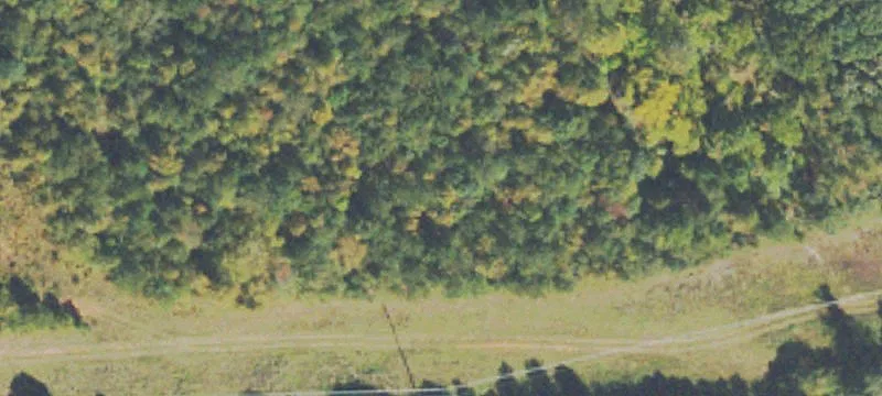 Hwy 278