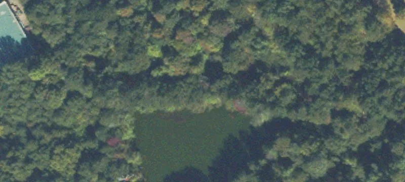 2432 Loganville Hwy