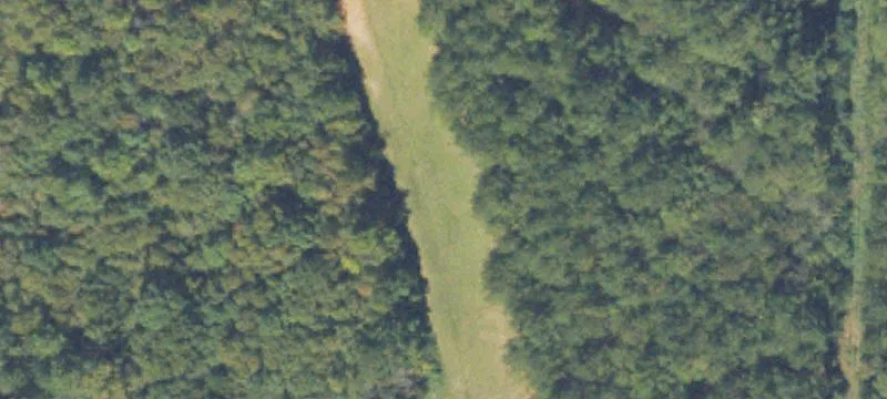 209 Birdie Rd