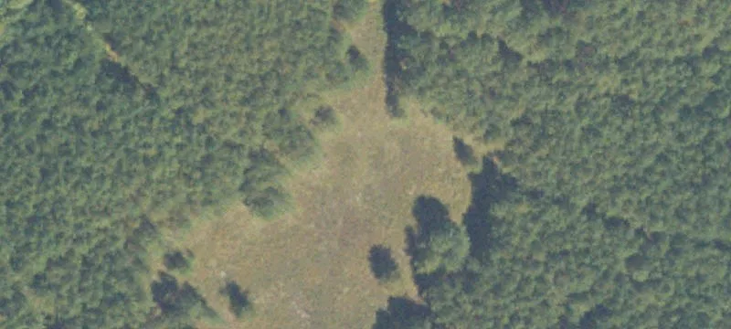 5698 Hwy 85
