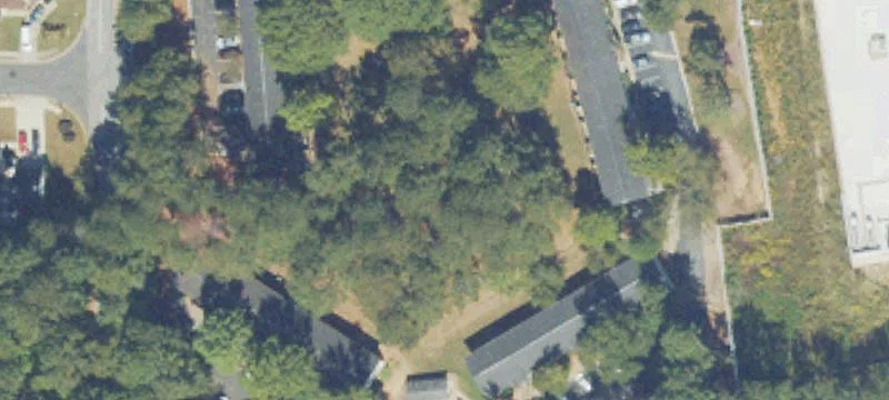 790 Dixon Rd