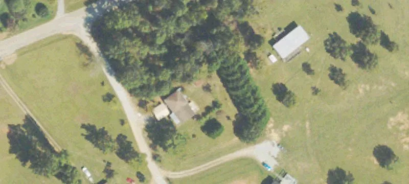 242 Kim Loop