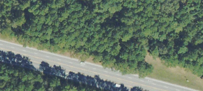 1323 Us Hwy 80th E