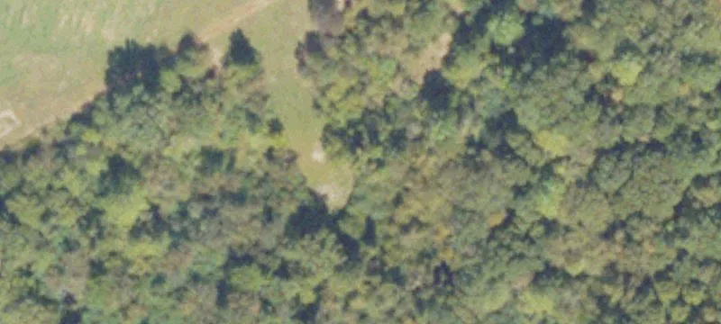 1200 Ga Hwy 247th S