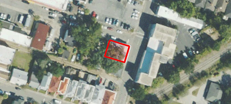 25 Maupas Ave