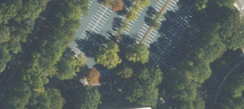 6625 The Cors Pkwy