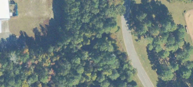 Avery Dr