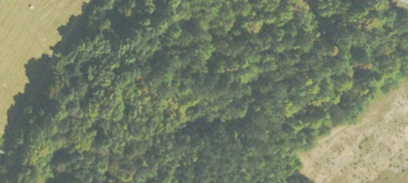 424 Cannon Brg Rd