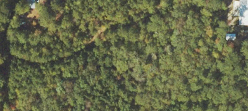 1101 Nebula Rd