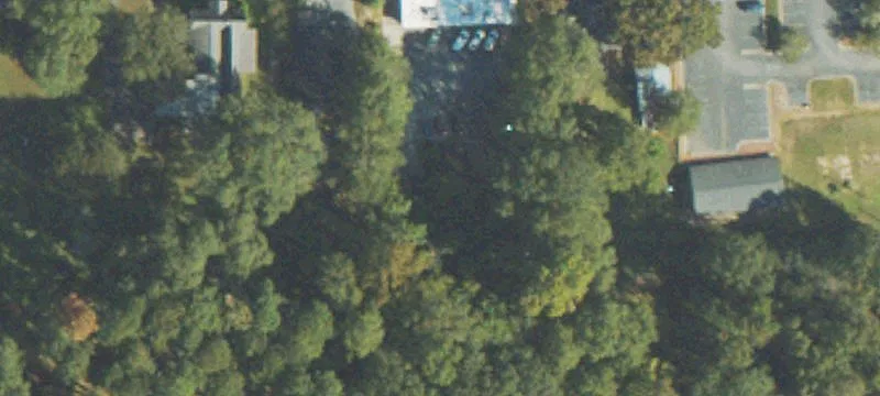 301 College St