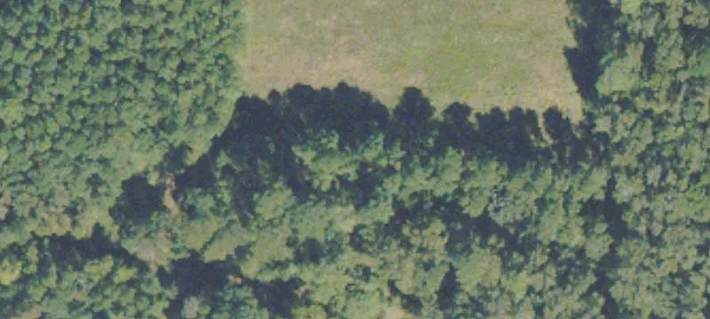 801 Bloomingdale Rd
