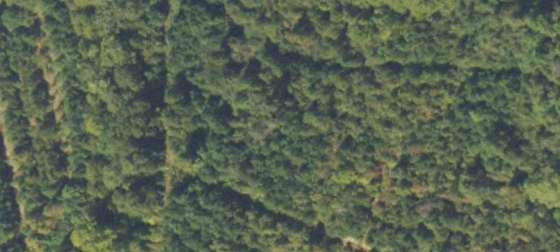 384 Rosser Rd