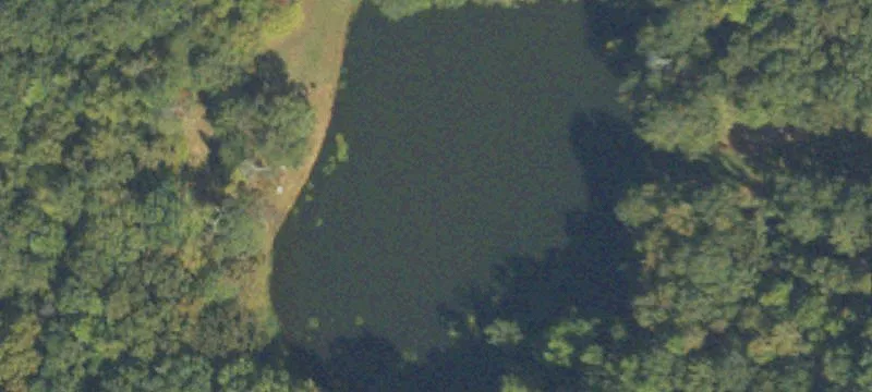 Sharpsburg, GA 30277