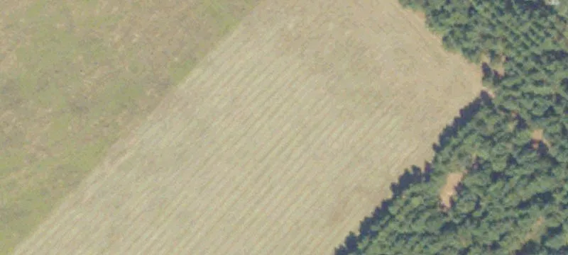Hudson Jones Rd