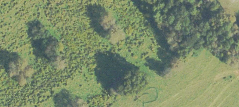 329 Hwy 320