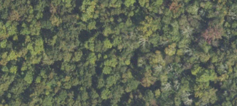 2464 Hwy 27