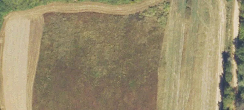 Hampton, GA 30228