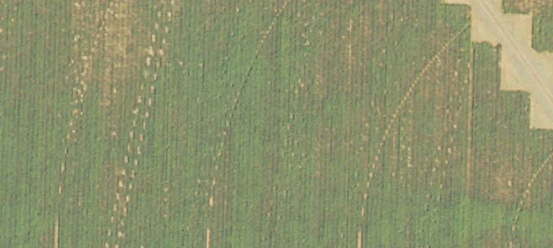 4600 Ga Hwy 240th N