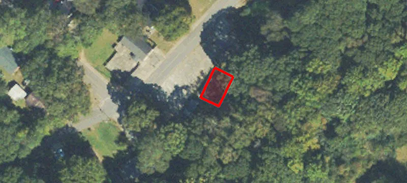 Carolina Ln