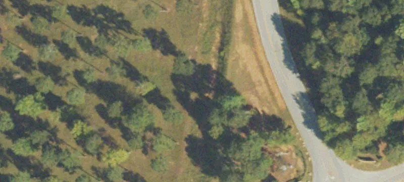 Lone Oak Rd