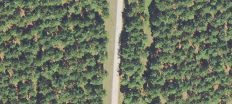 2300 Ga Hwy 24th E