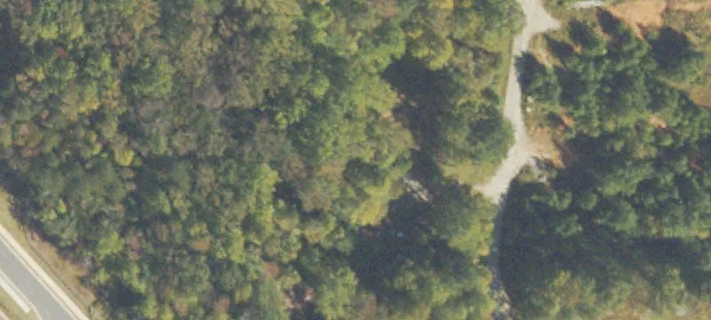 Dawson Frst Rd