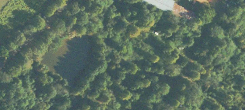 953 Black Snake Rd
