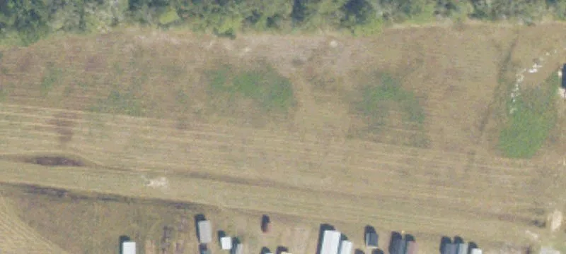 Pearson, GA 31642